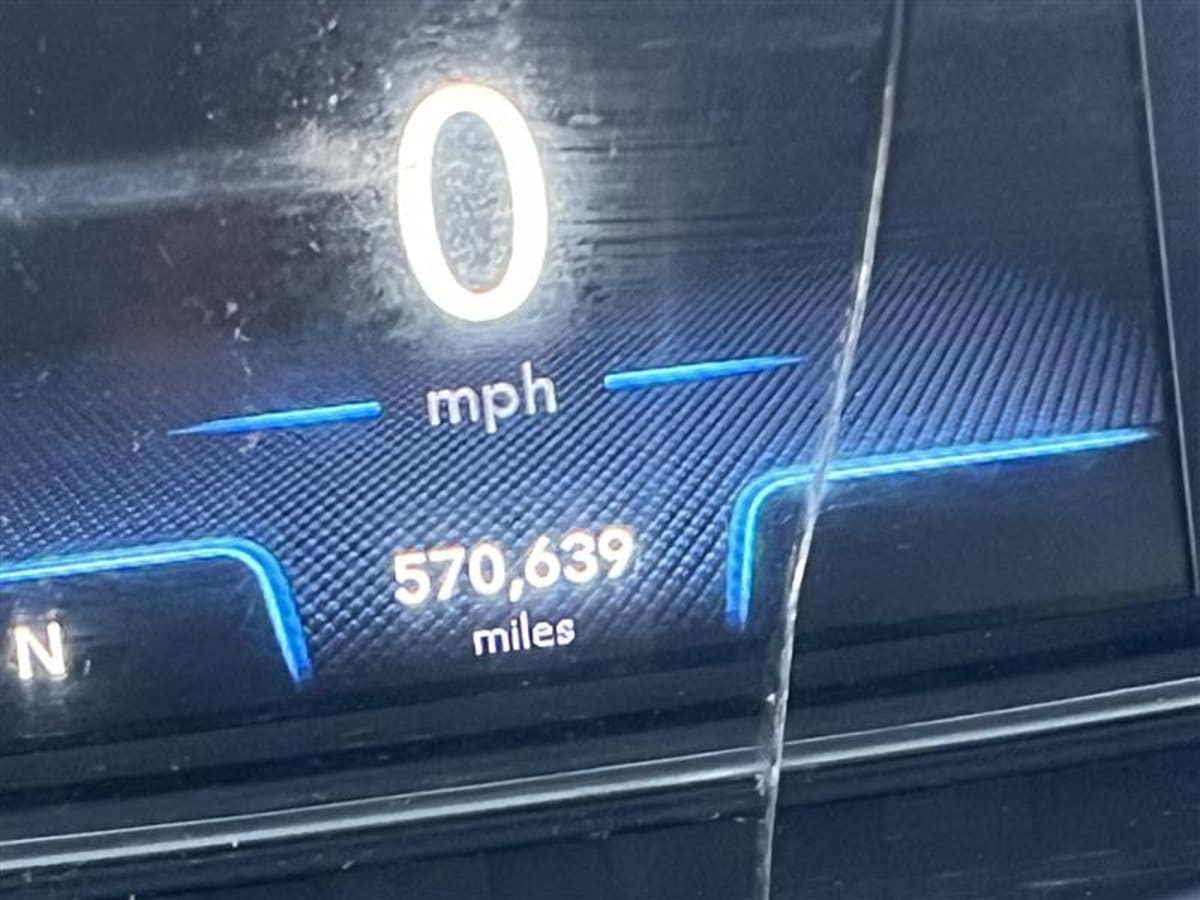 2020 International - image 10