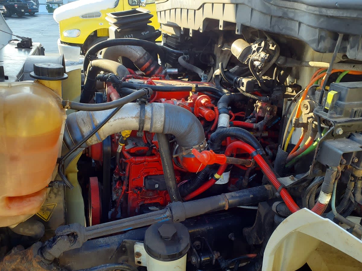 2019 Navistar International MV607 (4X2) 239607