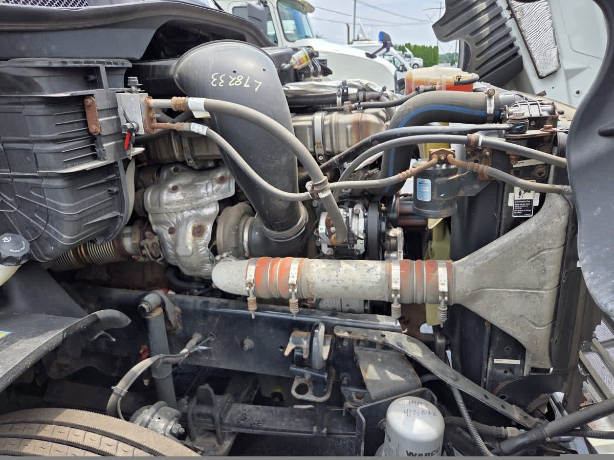 2020 Freightliner CASCADIA 125 239623