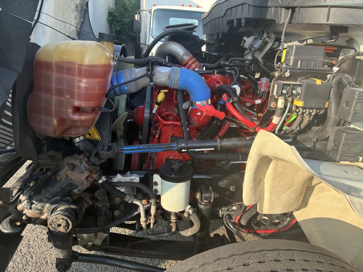 2020 Navistar International MV607 (4X2) 239641