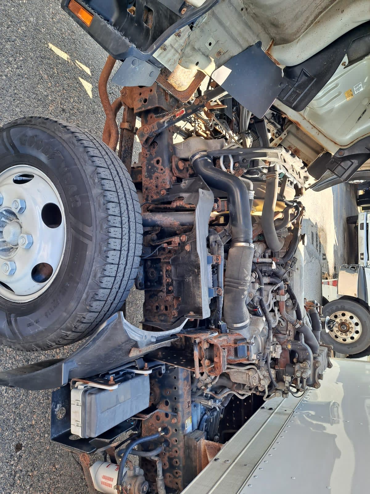2019 Isuzu NPR HD 239744