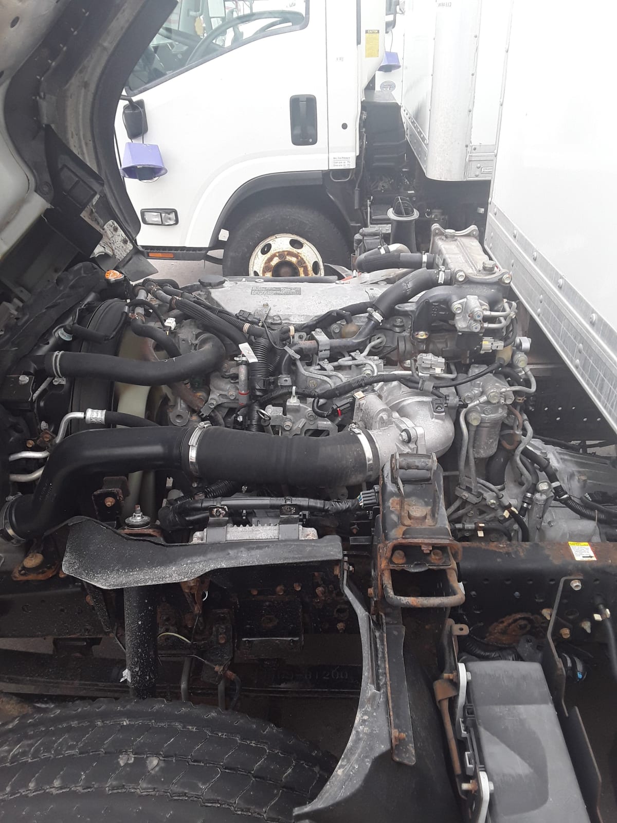 2019 Isuzu NPR HD 239749