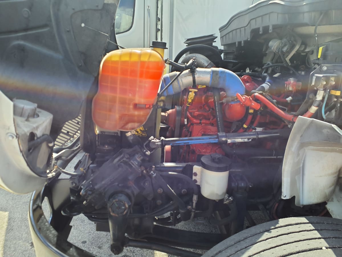 2020 Navistar International MV607 (4X2) 239753