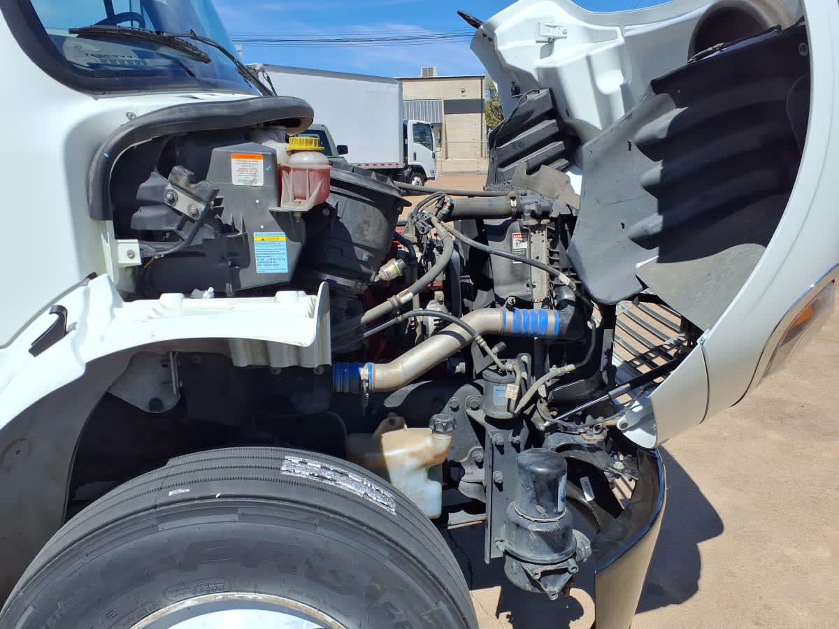 2020 Freightliner/Mercedes M2 106 241511