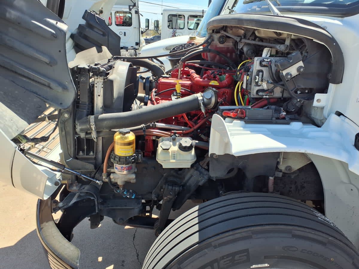 2020 Freightliner/Mercedes M2 106 241511