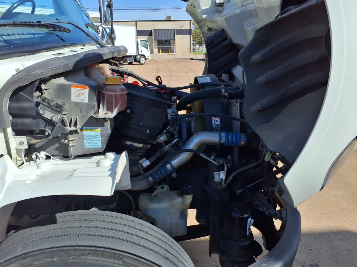 2020 Freightliner/Mercedes M2 106 241561