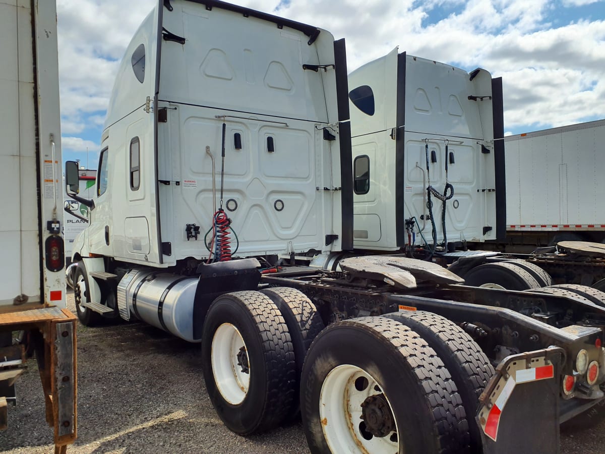 2020 Freightliner/Mercedes NEW CASCADIA 126 241601