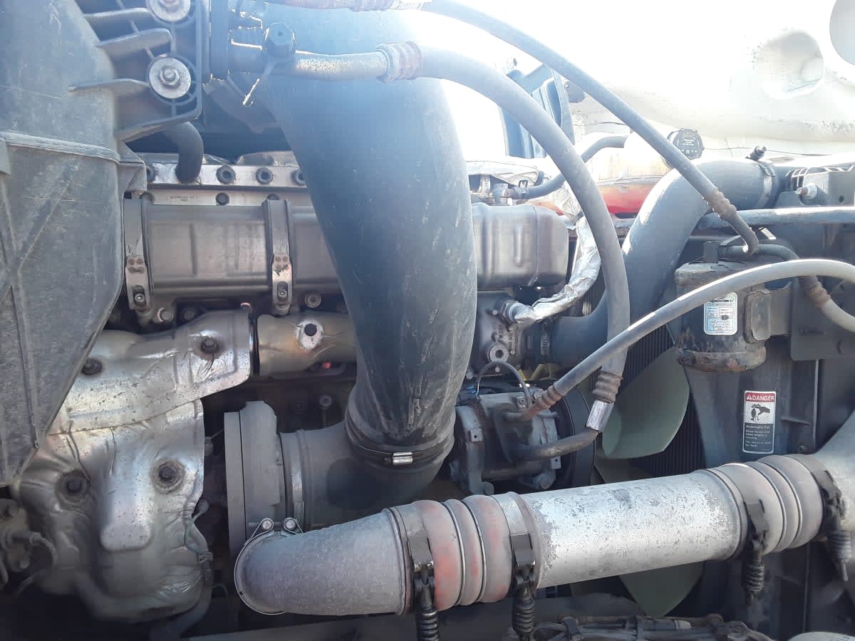 2020 Freightliner/Mercedes NEW CASCADIA PX12664 241705