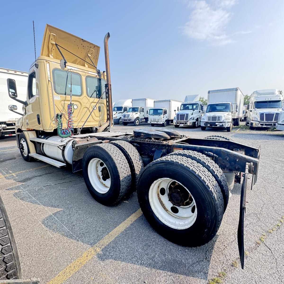 2020 Freightliner/Mercedes NEW CASCADIA PX12664 242846