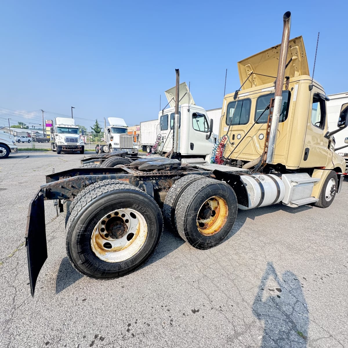 2020 Freightliner/Mercedes NEW CASCADIA PX12664 242846