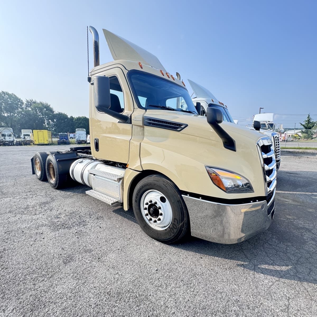 2020 Freightliner/Mercedes NEW CASCADIA PX12664 242846