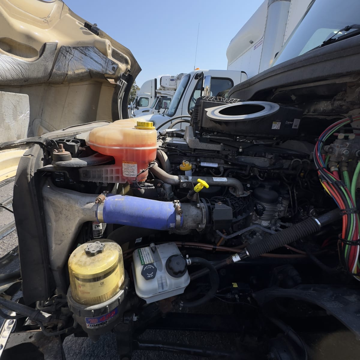 2020 Freightliner/Mercedes NEW CASCADIA PX12664 242847