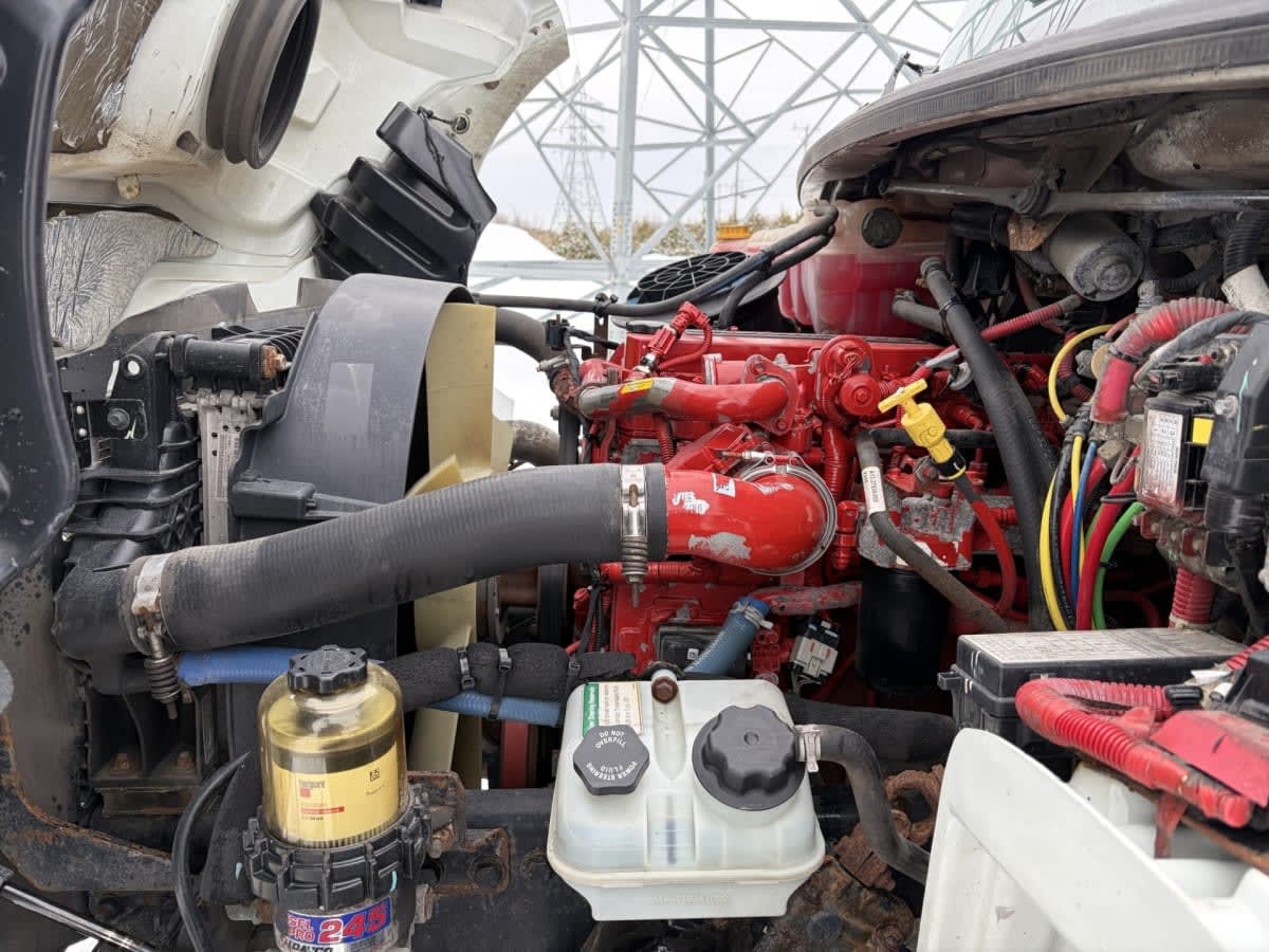 2020 Freightliner/Mercedes M2 106 242899