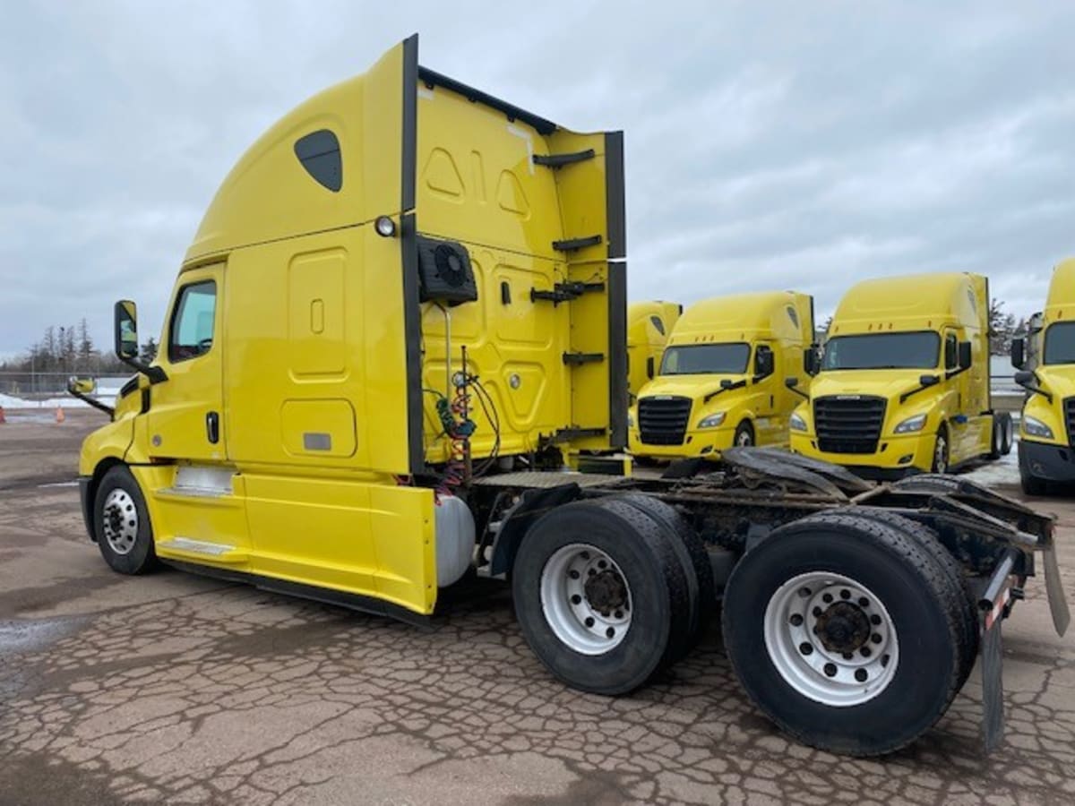 2020 Freightliner/Mercedes NEW CASCADIA PX12664 242941