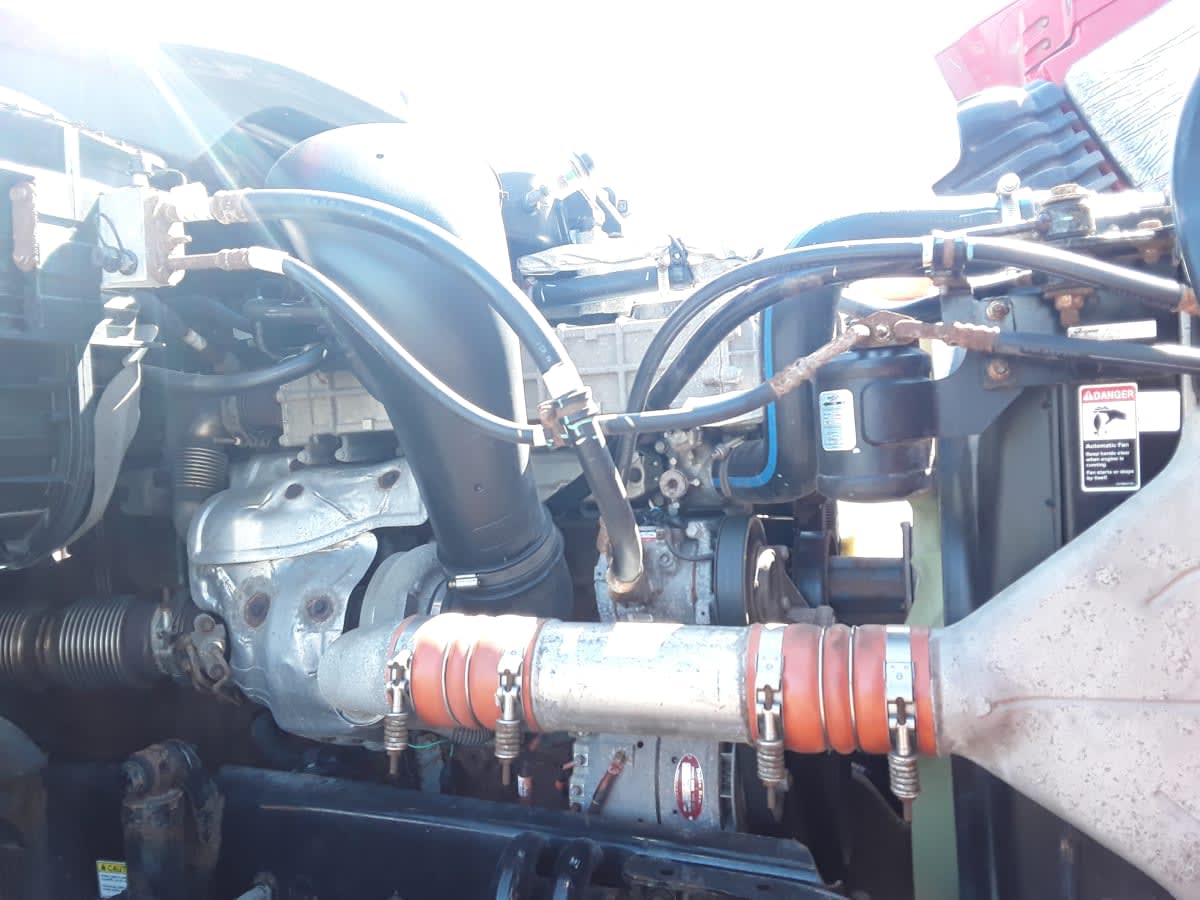 2020 Freightliner/Mercedes CASCADIA 125 242959