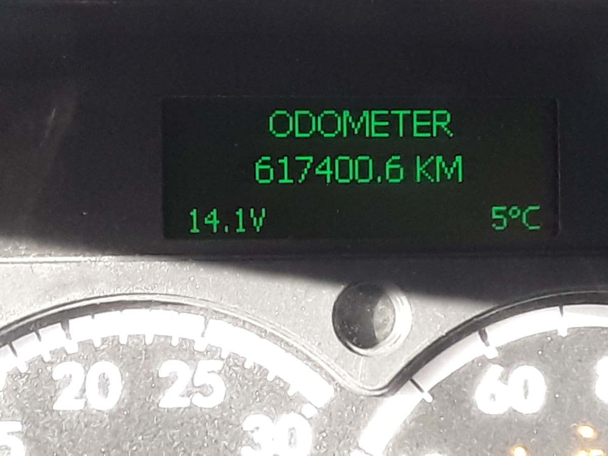 2020 Freightliner/Mercedes CASCADIA 125 242976