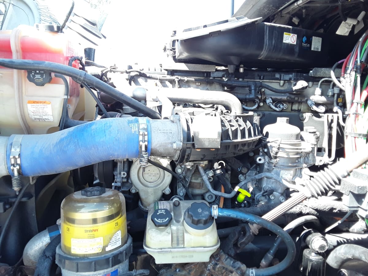 2020 Freightliner/Mercedes CASCADIA 125 242977