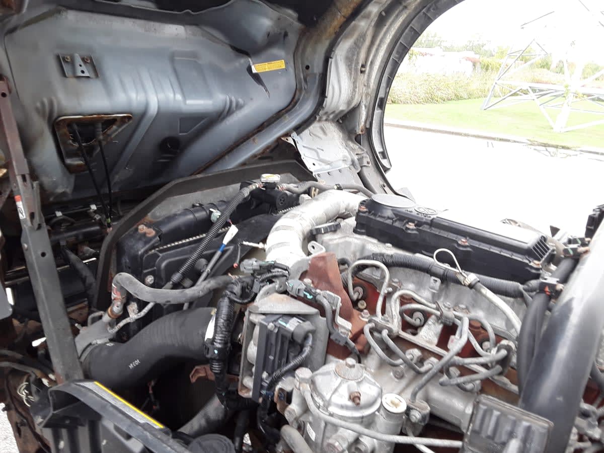 2019 Hino HINO 195 243261