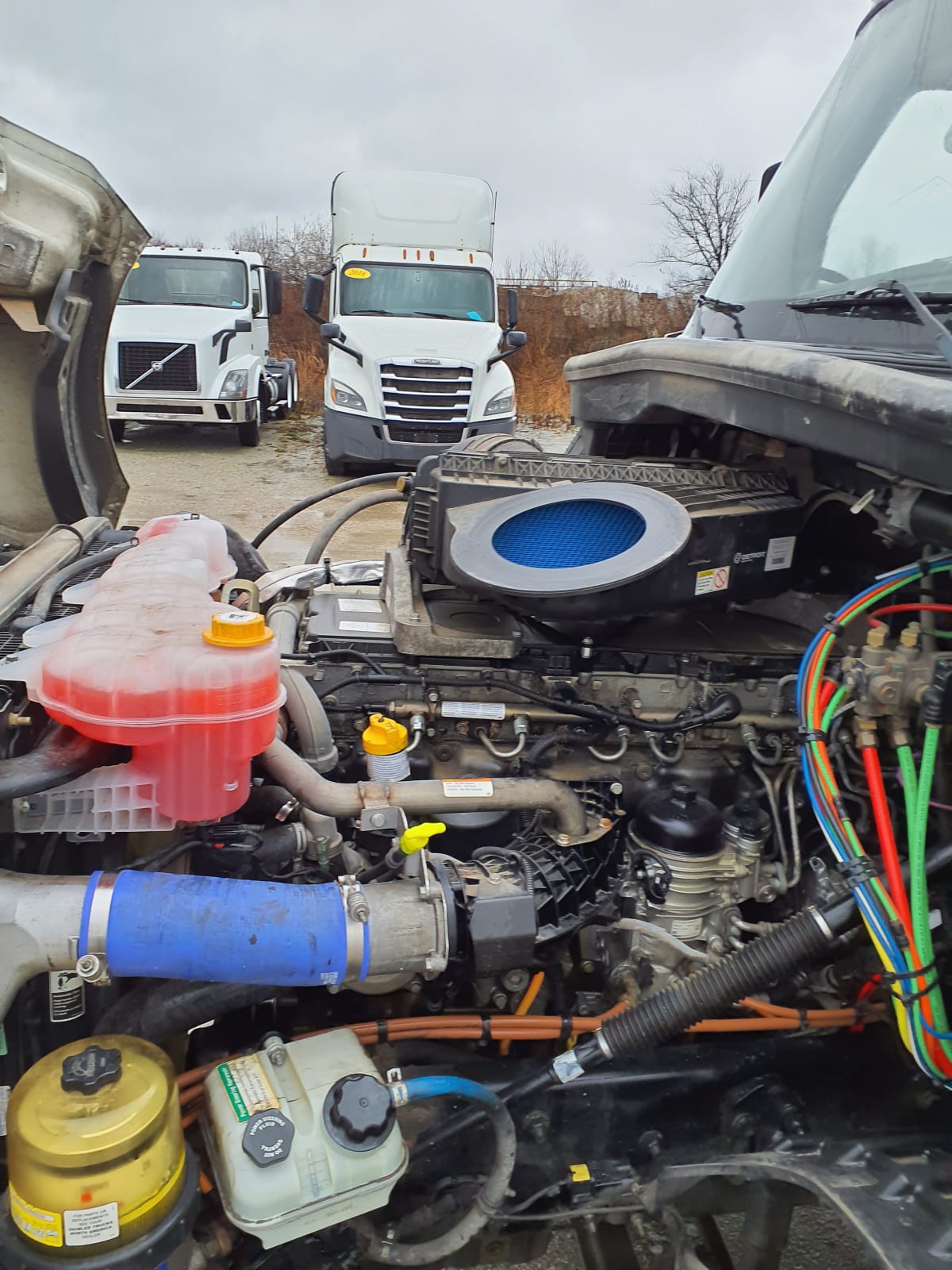 2020 Freightliner/Mercedes NEW CASCADIA PX12664 243285