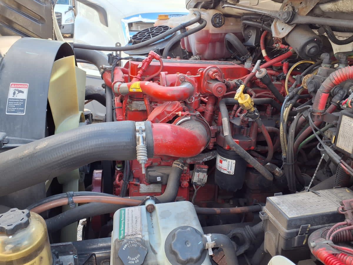 2020 Freightliner/Mercedes M2 106 243378