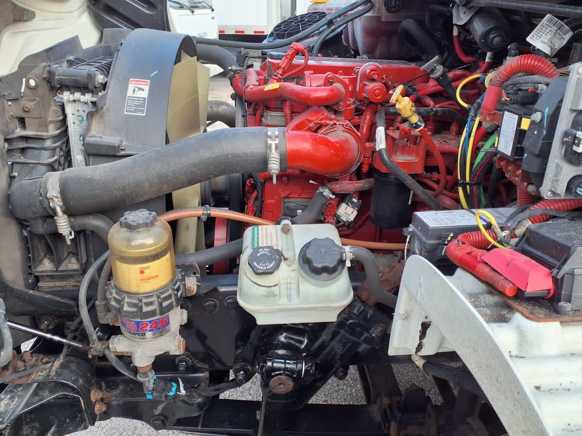 2020 Freightliner/Mercedes M2 106 243379