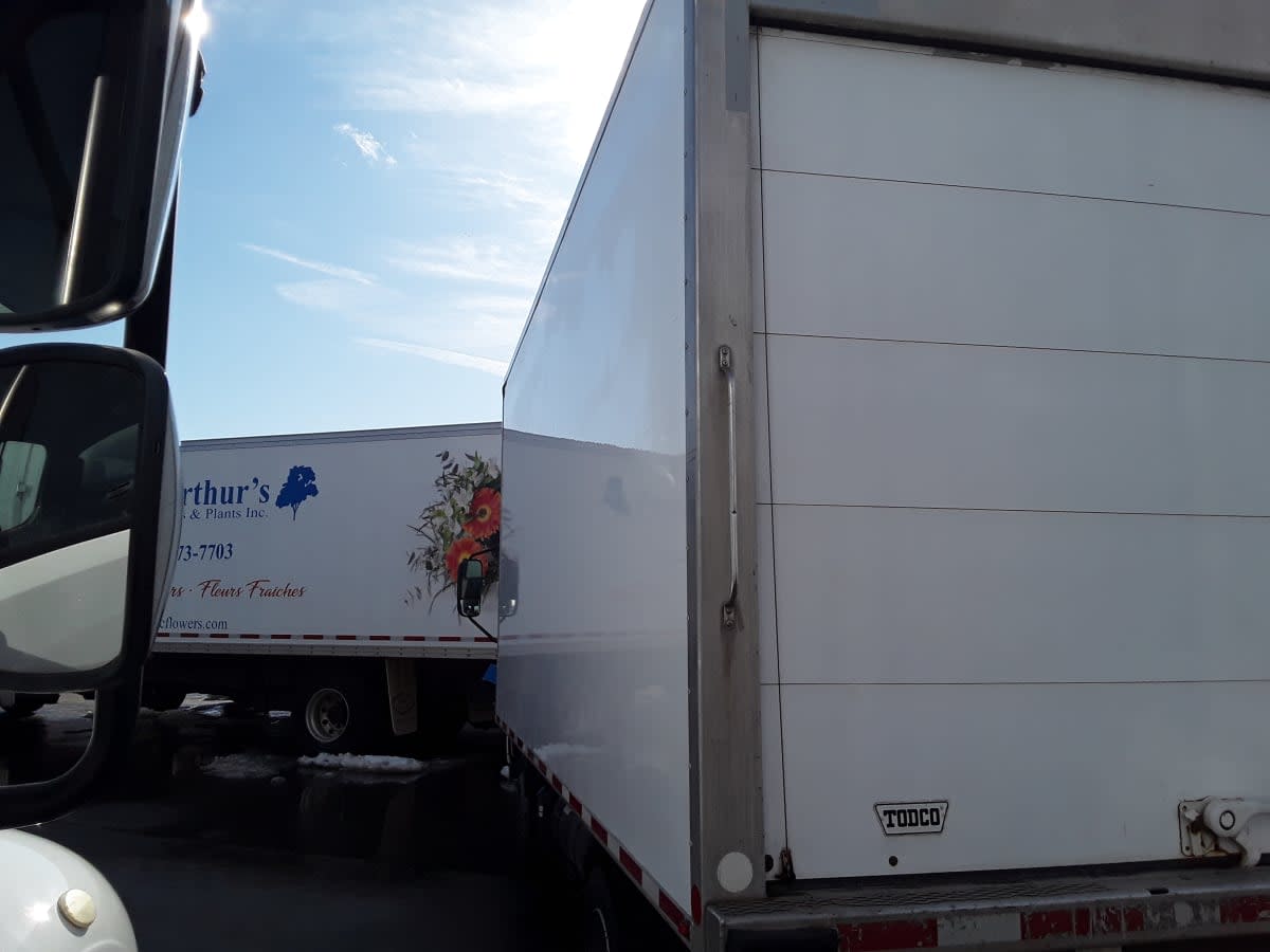 2019 Hino HINO 195 243618