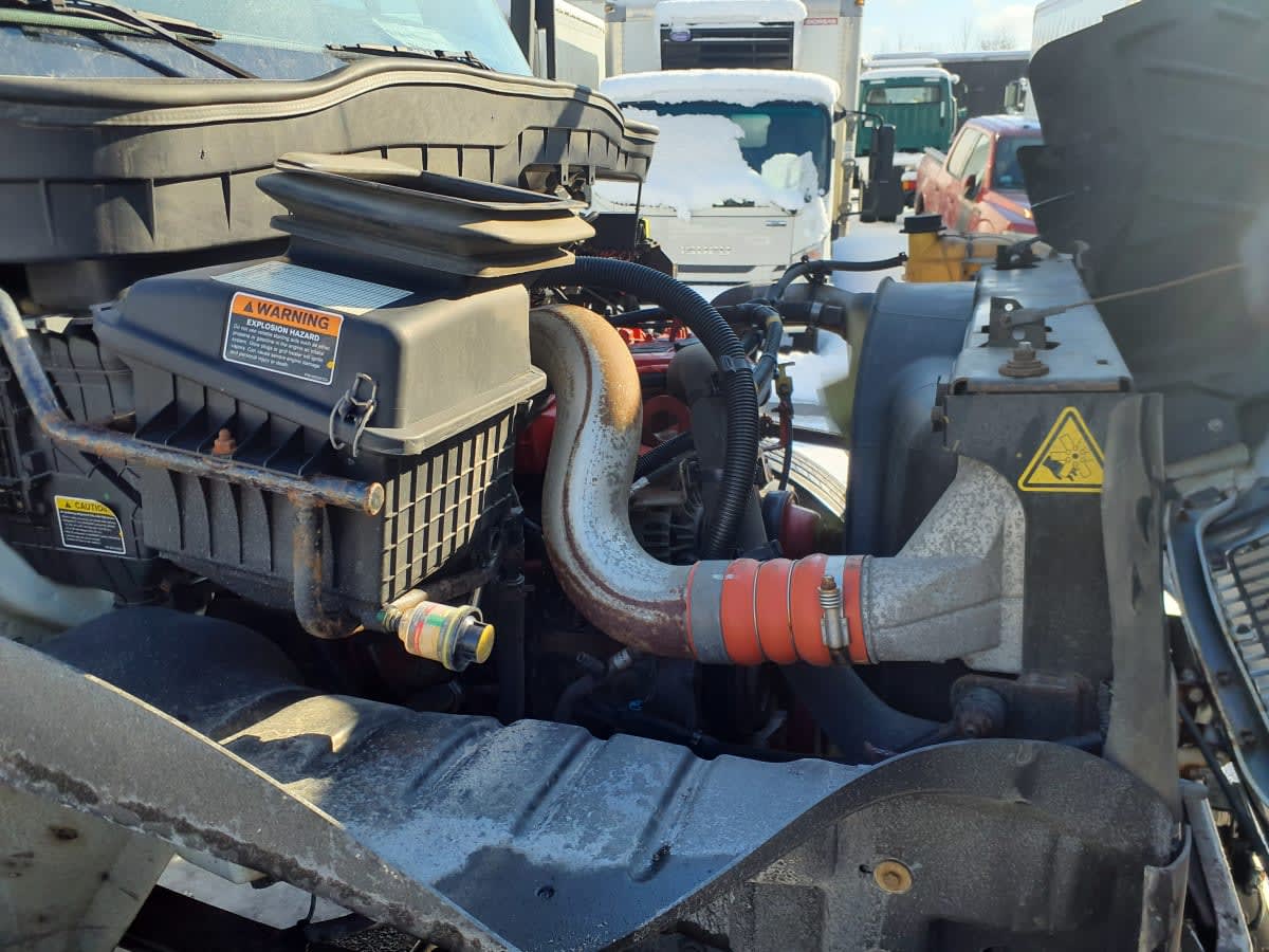 2020 International - image 15