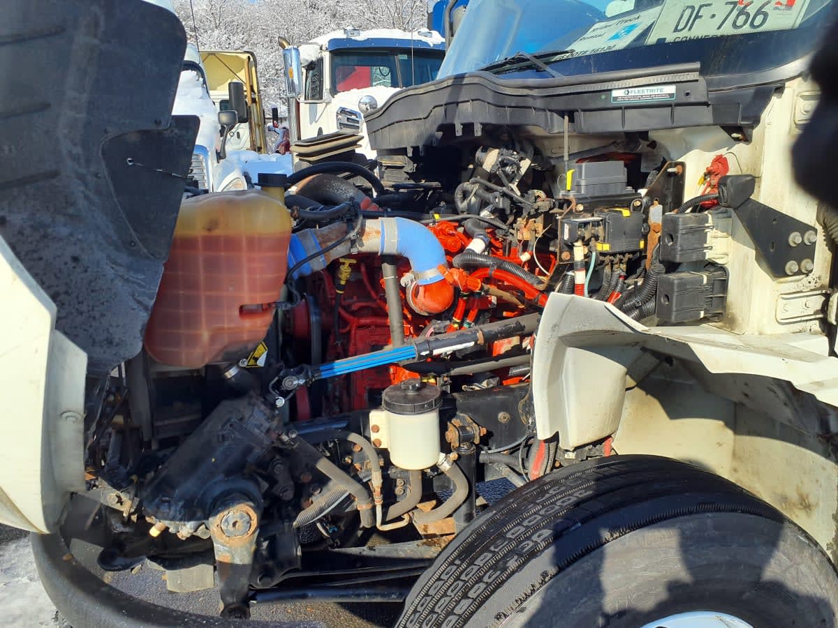 2020 International - image 10