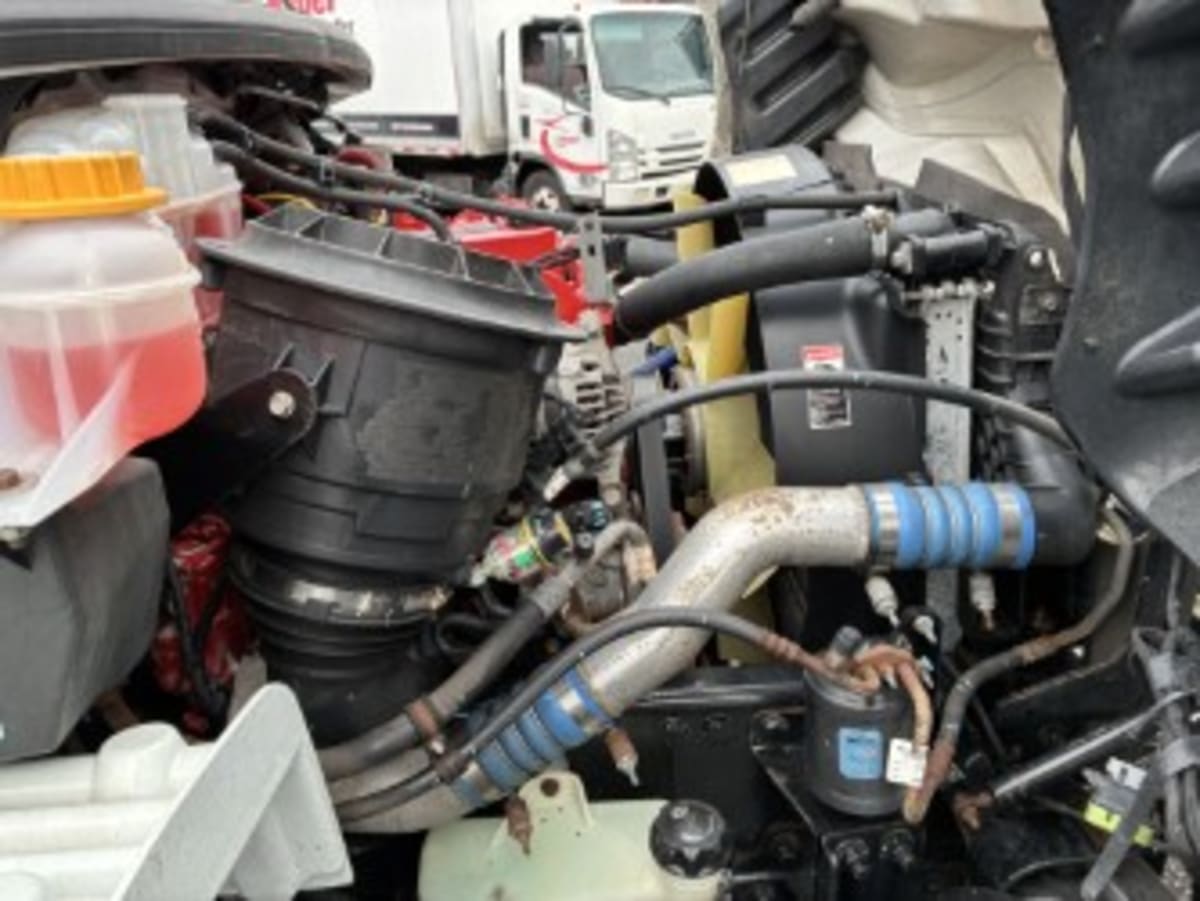 2020 Freightliner/Mercedes M2 106 244182