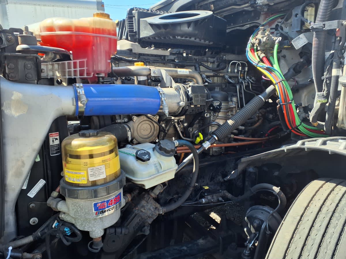2020 Freightliner/Mercedes NEW CASCADIA PX12664 244435
