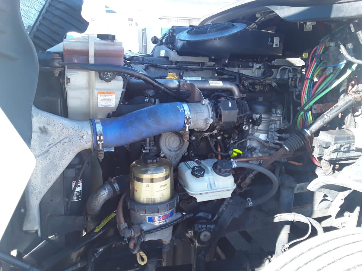 2020 Freightliner/Mercedes CASCADIA 125 244442