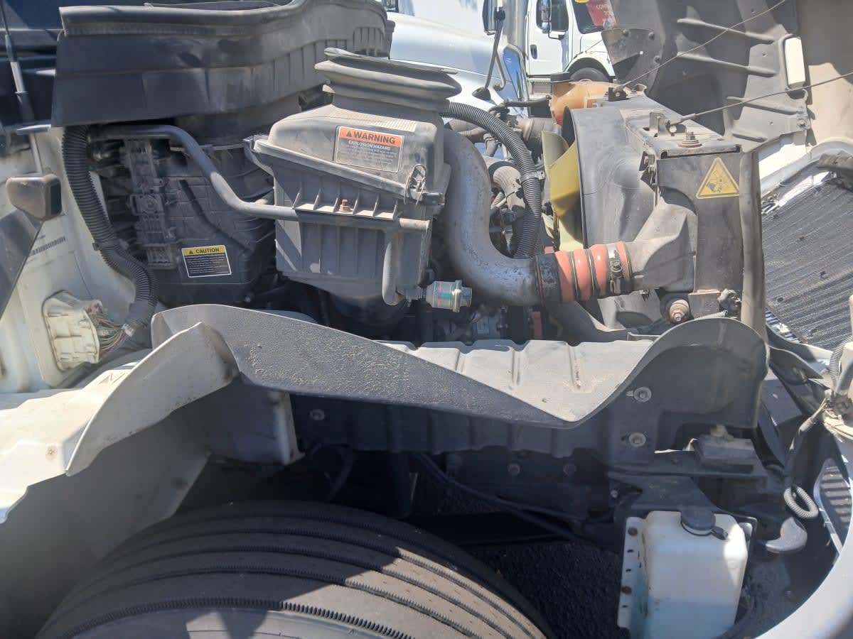 2020 Navistar International MV607 (4X2) 244539