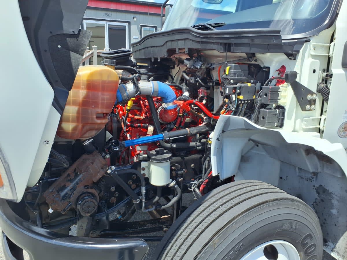 2020 Navistar International MV607 (4X2) 244625