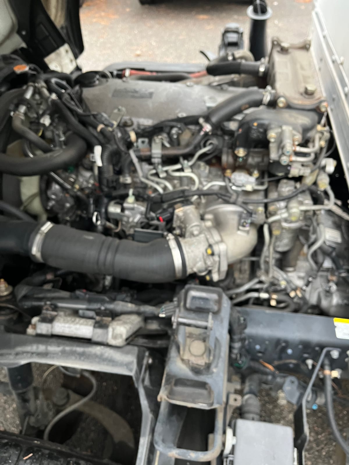 2020 Freightliner/Mercedes M2 106 245028