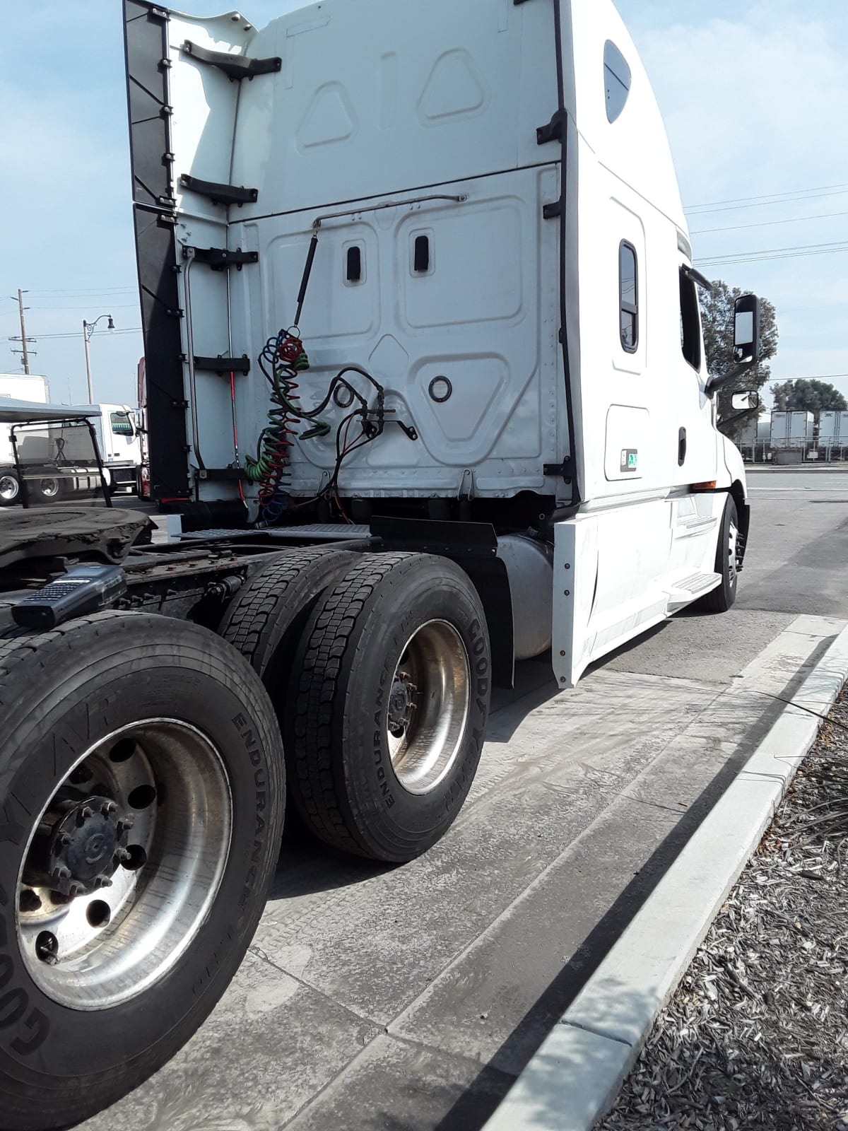 2020 Freightliner/Mercedes NEW CASCADIA PX12664 245106