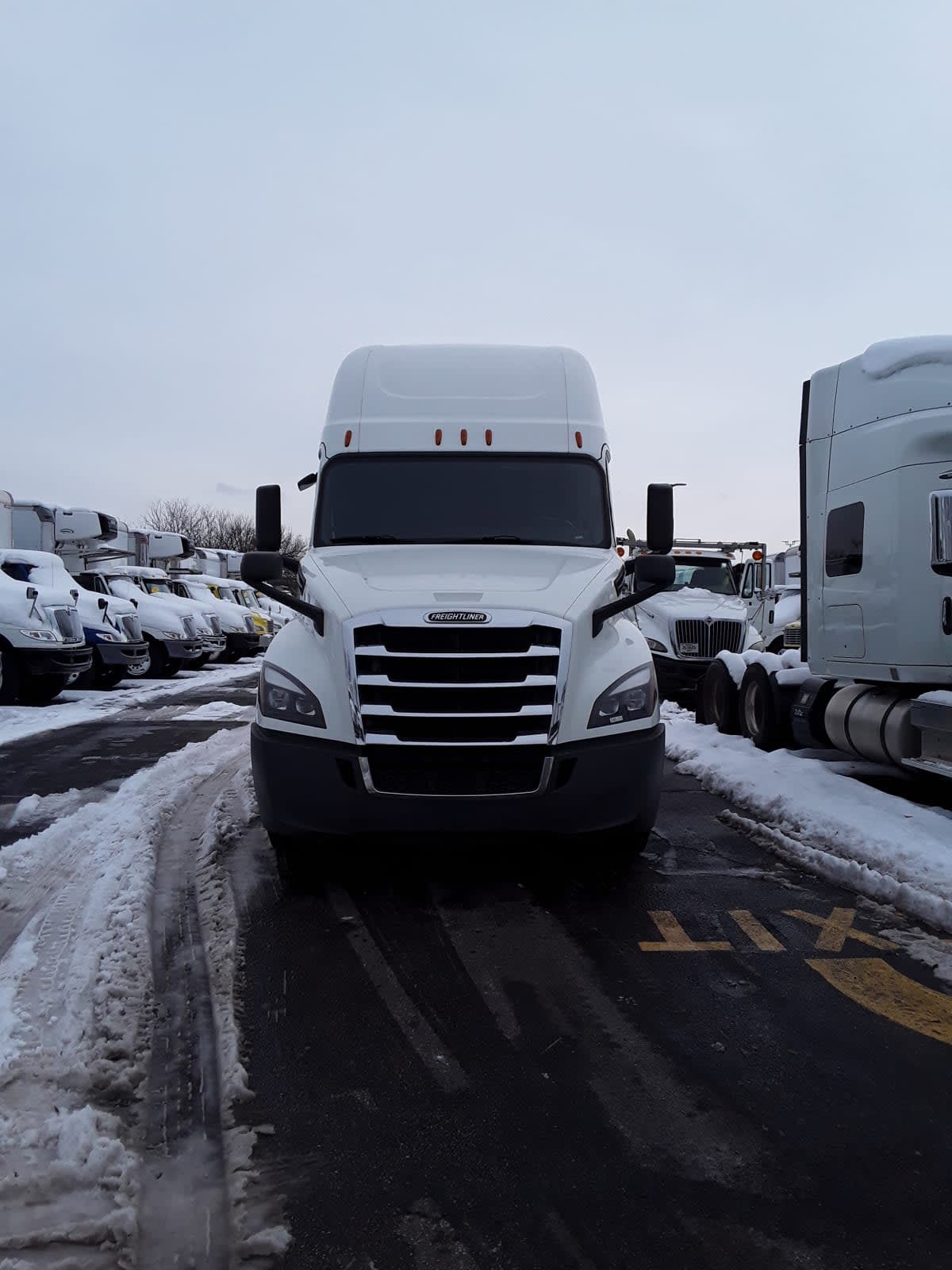 2020 Freightliner/Mercedes NEW CASCADIA PX12664 245131