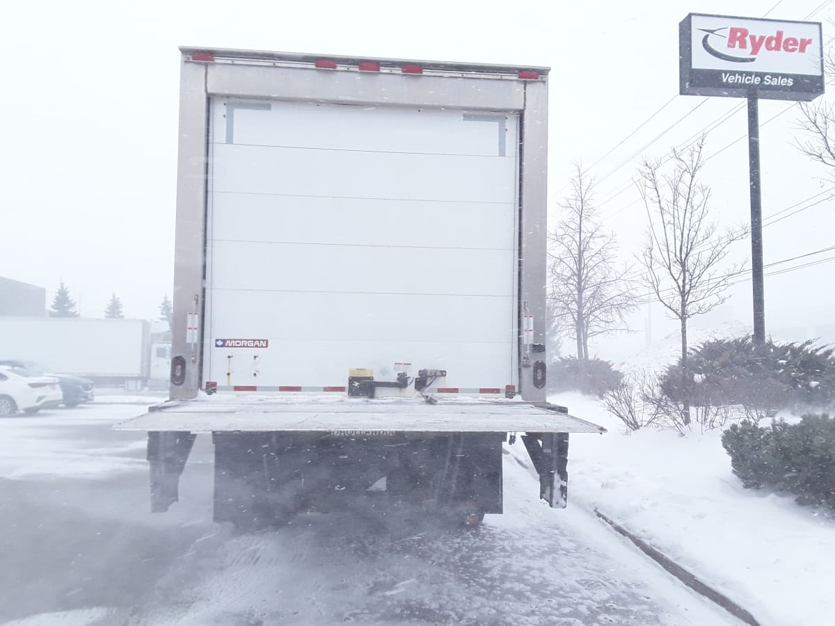 2020 Navistar International MV607 (4X2) 245204