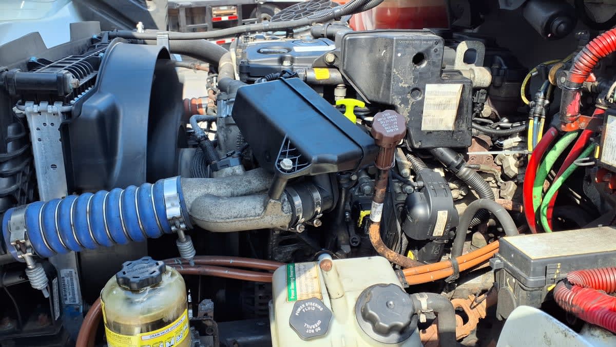2020 Freightliner/Mercedes M2 106 245218