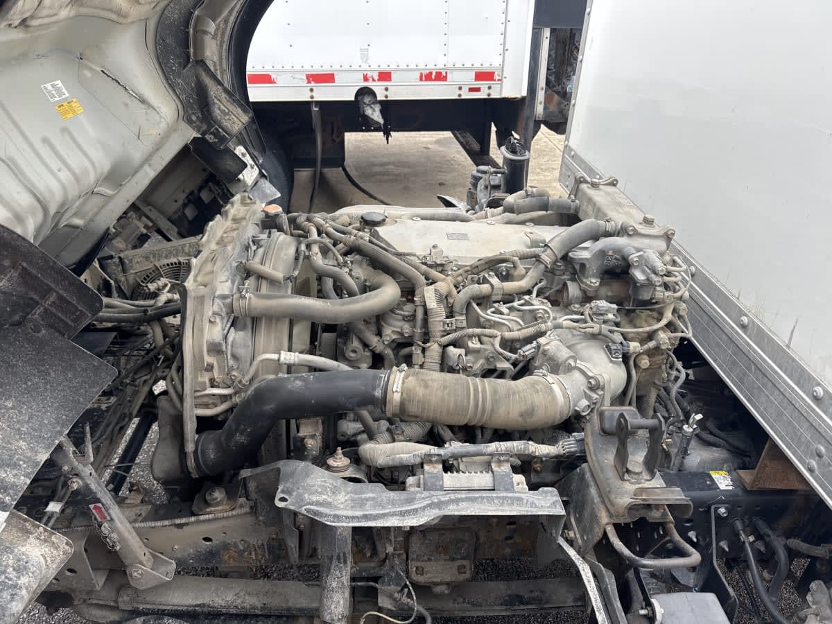 2019 Chevrolet Motor Div. LCF 4500HD 246022