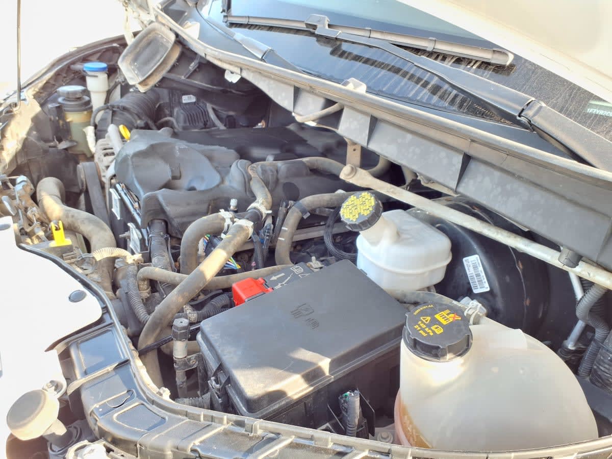 2019 Ford Motor Company TRANSIT 250 MED ROOF 246254