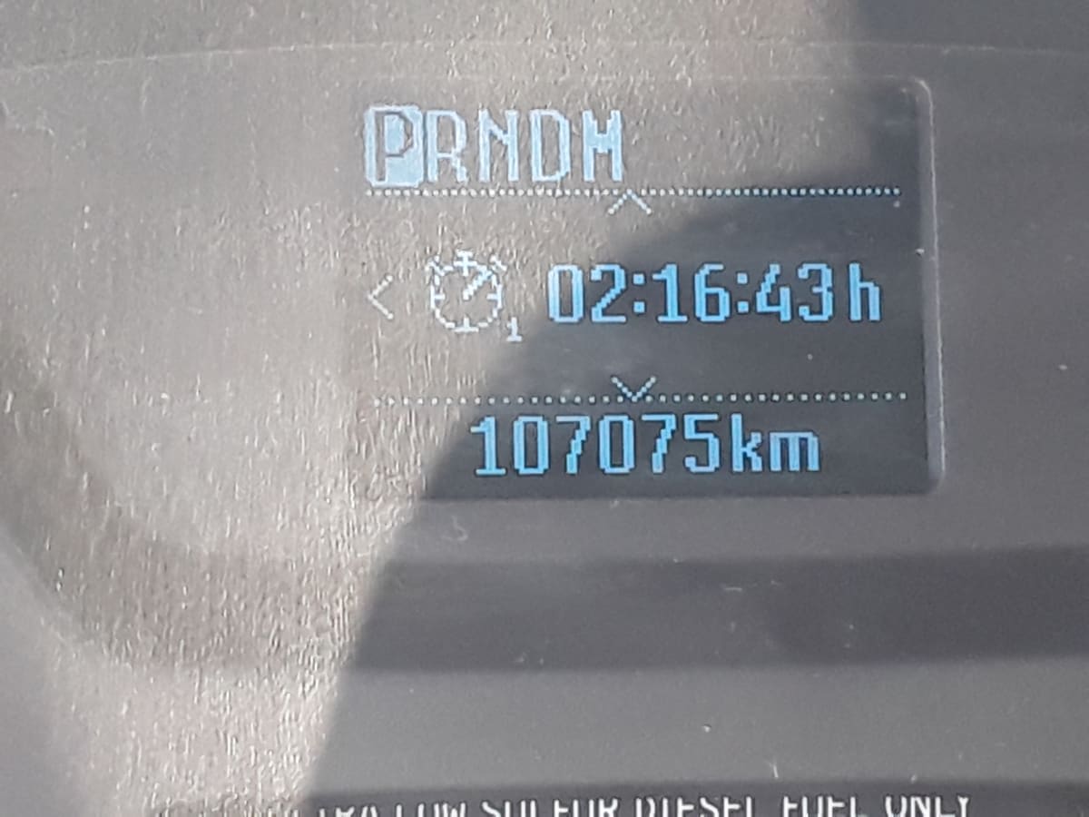 2019 Ford Motor Company TRANSIT 250 MED ROOF 246257