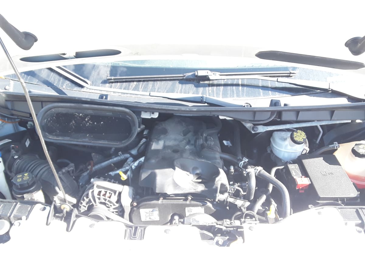 2019 Ford Motor Company TRANSIT 250 MED ROOF 246257