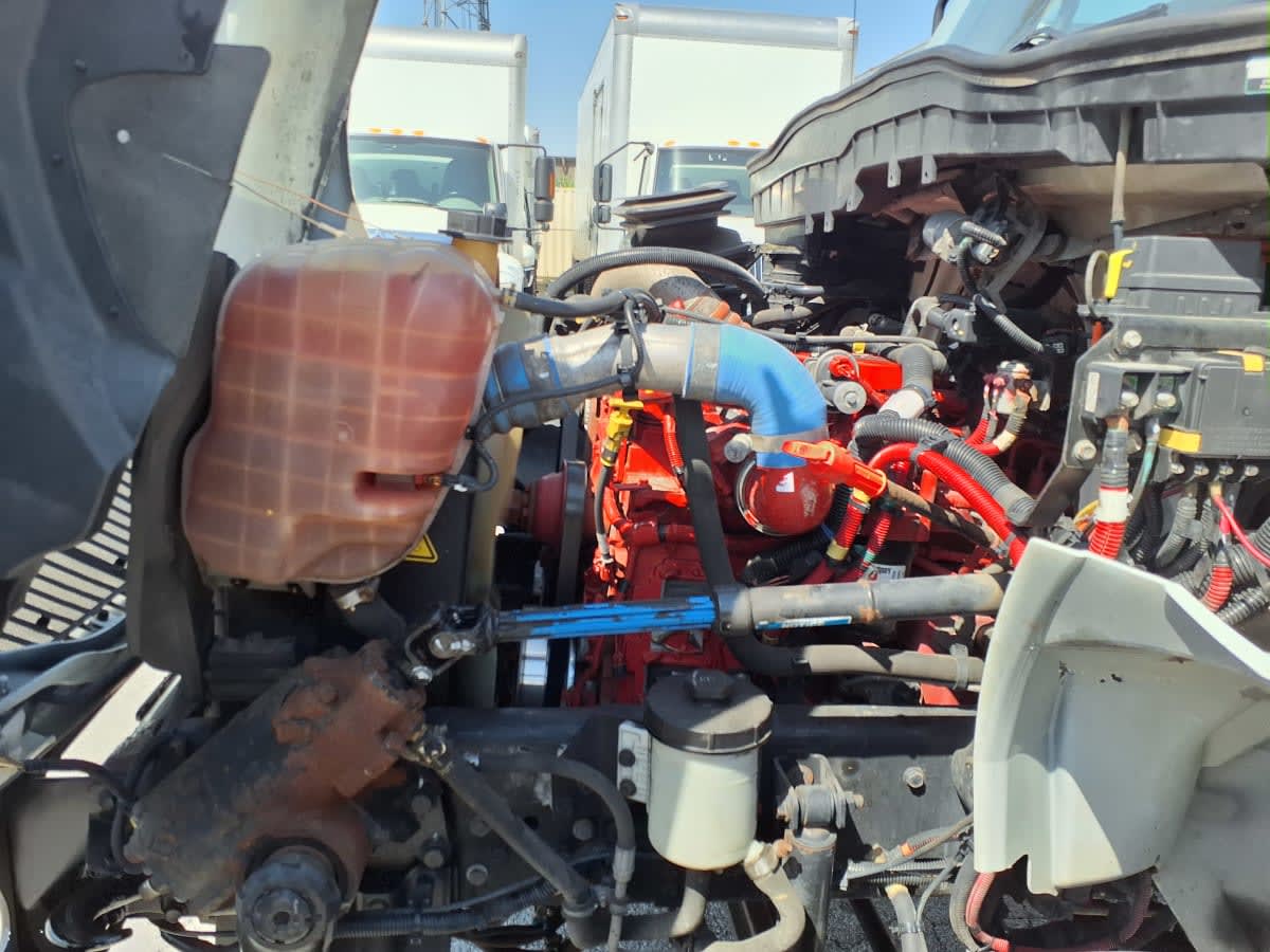 2020 Navistar International MV607 (4X2) 247004