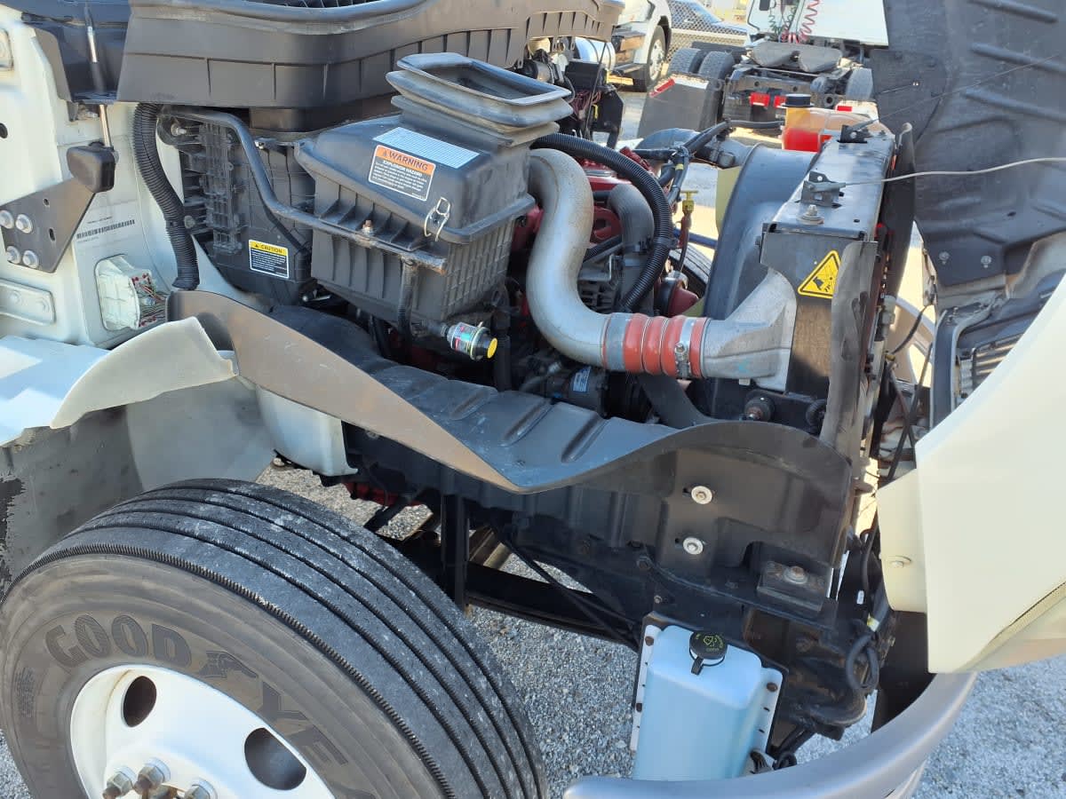 2020 Navistar International MV607 (4X2) 247125