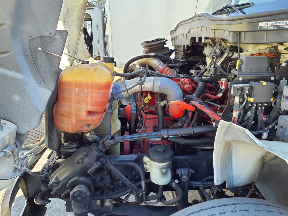 2020 Navistar International MV607 (4X2) 247381