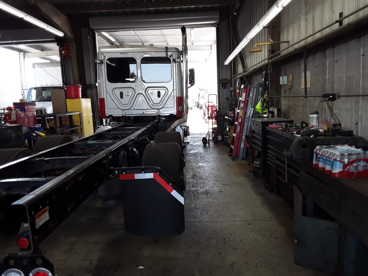 2020 Freightliner/Mercedes NEW CASCADIA 116 247419