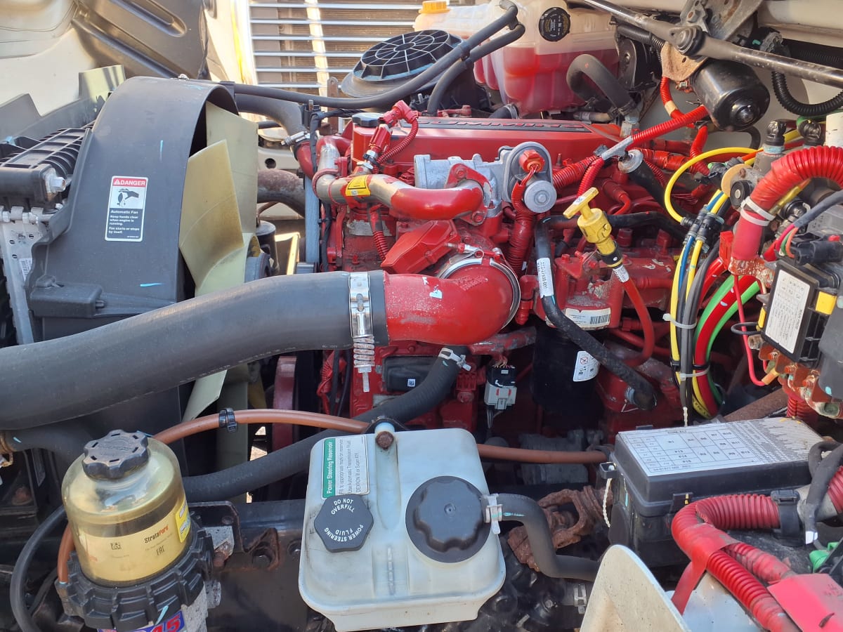 2020 Freightliner/Mercedes M2 106 247448