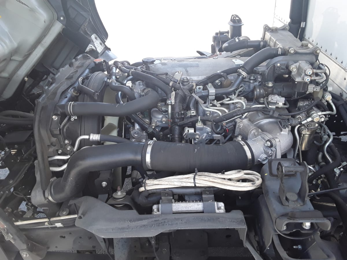 2019 Isuzu NQR 247679