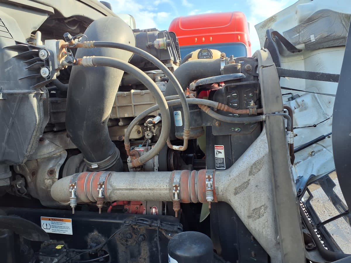 2020 Freightliner/Mercedes NEW CASCADIA 116 247698