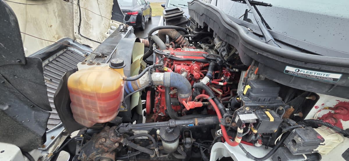 2020 Navistar International MV607 (4X2) 251584